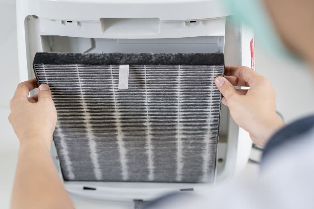 Person replacing an air purifier filter in a home setting for improved air quality.